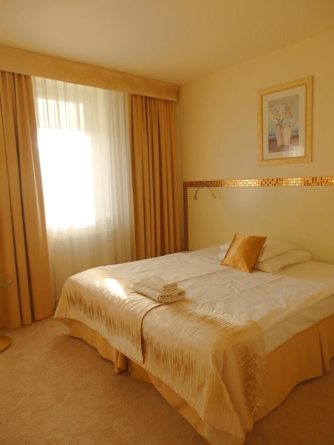 Отель Hotel Court Wellness&Spa Кендзежин-Козле