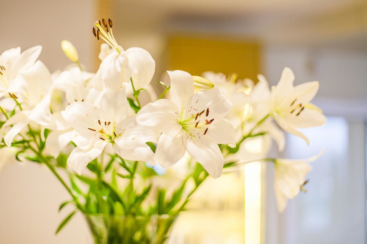 Отель Hotel Court Wellness&Spa Кендзежин-Козле-47