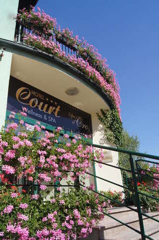 Отель Hotel Court Wellness&Spa Кендзежин-Козле-0